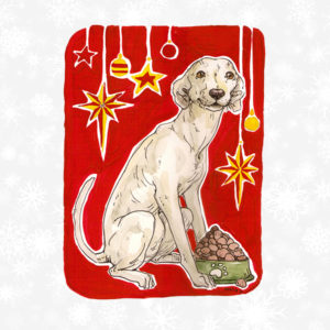 Full tummies & happy wagging tails from Christmas until New Year
