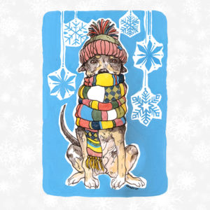 Share Christmas Joy by protecting a dog from the bitter cold