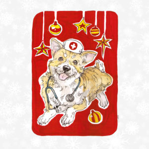 Share Christmas Joy with a veterinary health pack