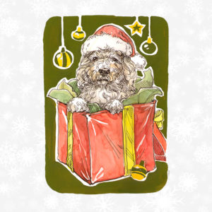 Your generosity is the true miracle of Christmas!
