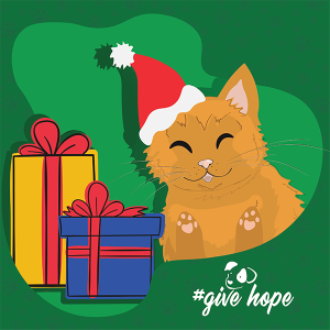 Secret Santa for cats