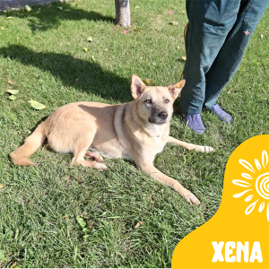 Xena