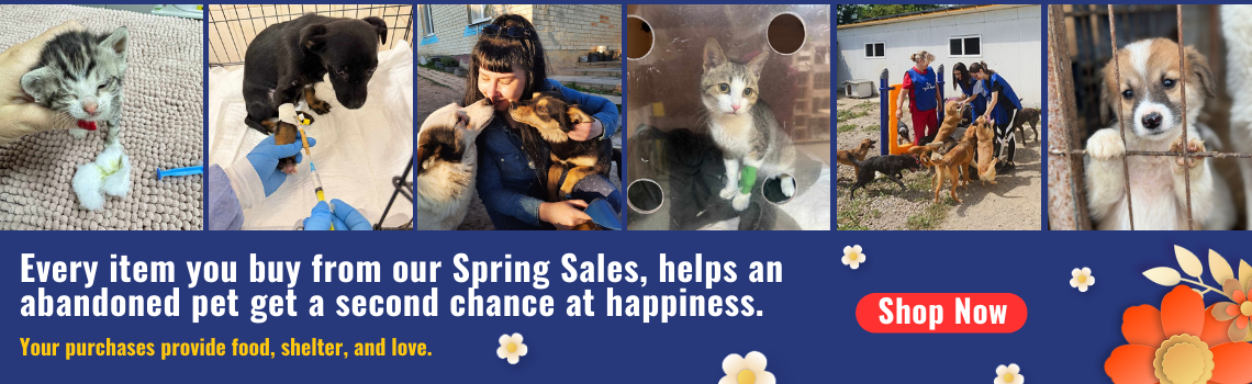 ROLDA valentines day