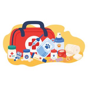 Emergency Kit